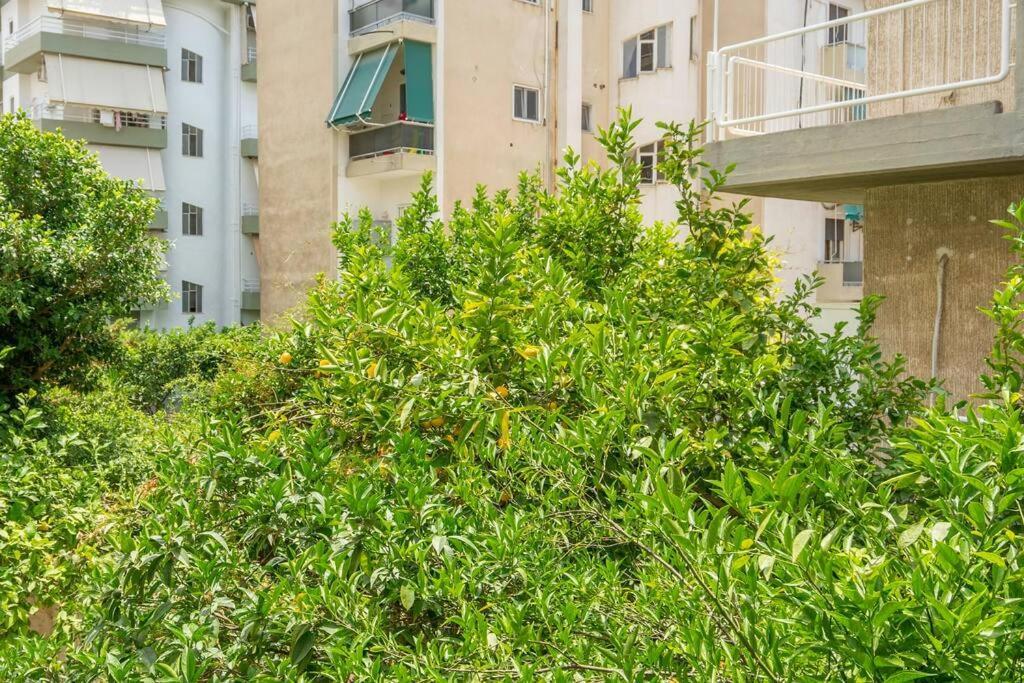 Alimos Sun-Filled Apartment Athens Ngoại thất bức ảnh